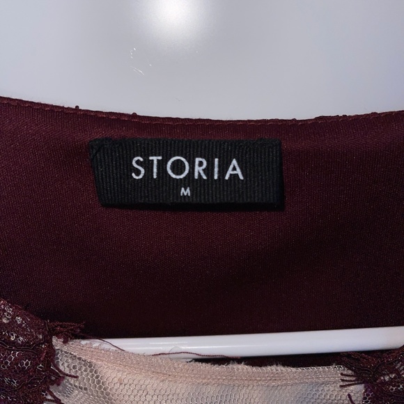 Storia Beyond Words Lace Illusion Body Hugging Dress Size M - Picture 4 of 8